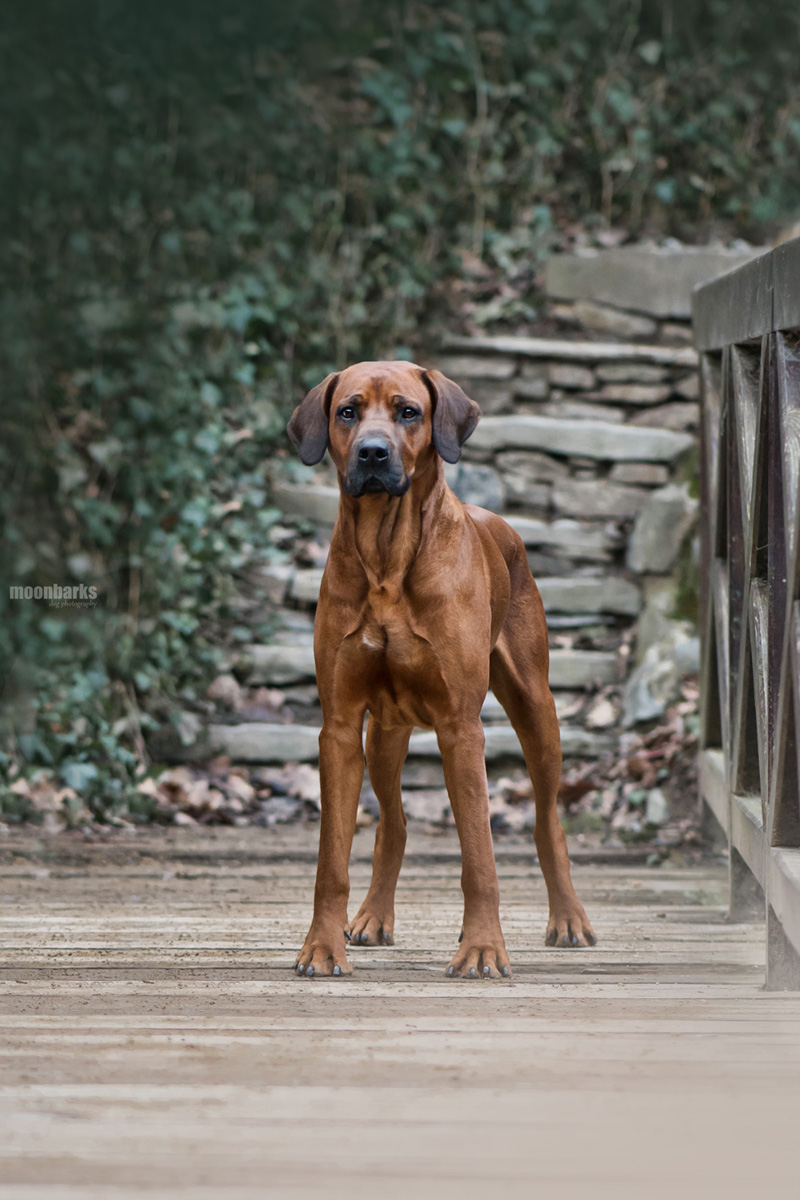 Let��ky pro chovatele